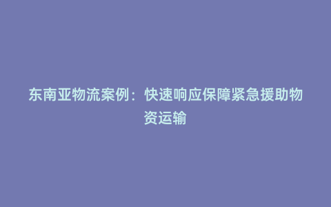 東南亞物流案例：快速響應保障緊急援助物資運輸