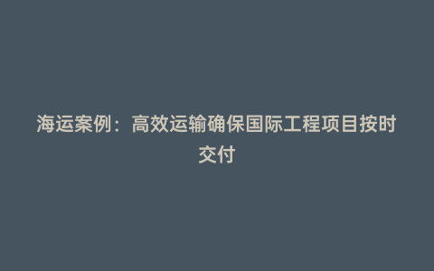 海運案例:高效運輸確保國際工程項目按時交付