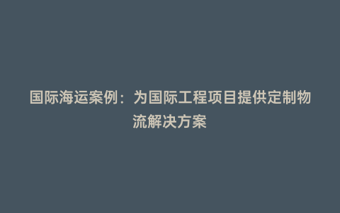 國際海運案例：為國際工程項目提供定制物流解決方案
