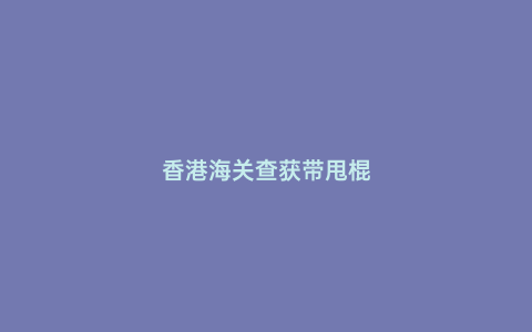 香港海關(guān)查獲帶甩棍