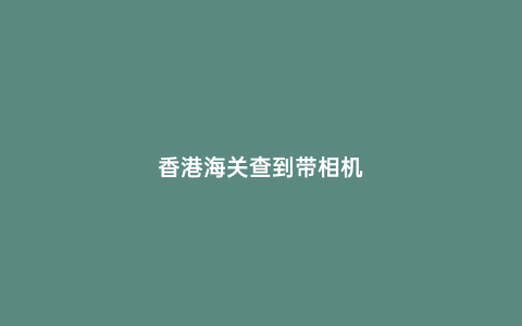 香港海關(guān)查到帶相機