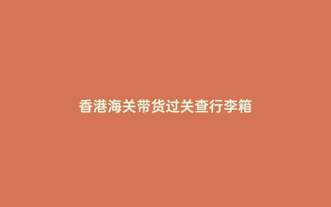 香港海關帶貨過關查行李箱