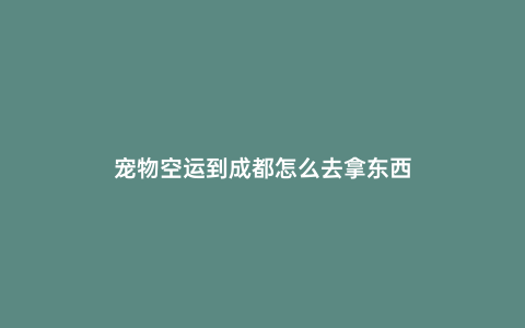 寵物空運(yùn)到成都怎么去拿東西