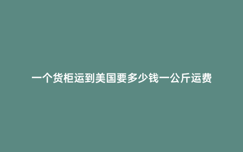 一個貨柜運到美國要多少錢一公斤運費