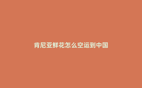 肯尼亞鮮花怎么空運到中國