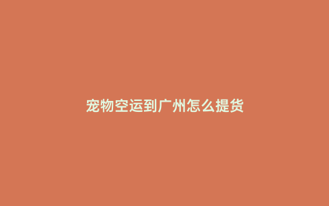 寵物空運到廣州怎么提貨