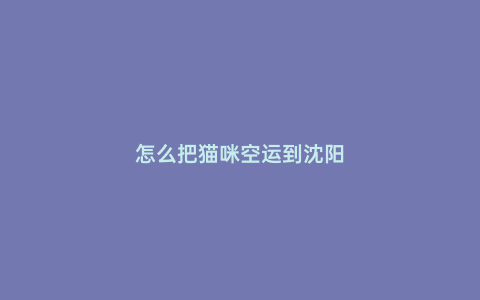 怎么把貓咪空運到沈陽