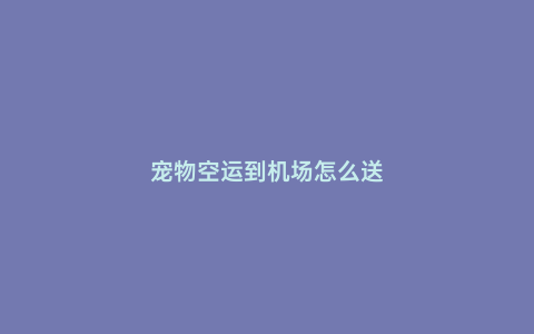 寵物空運到機場怎么送